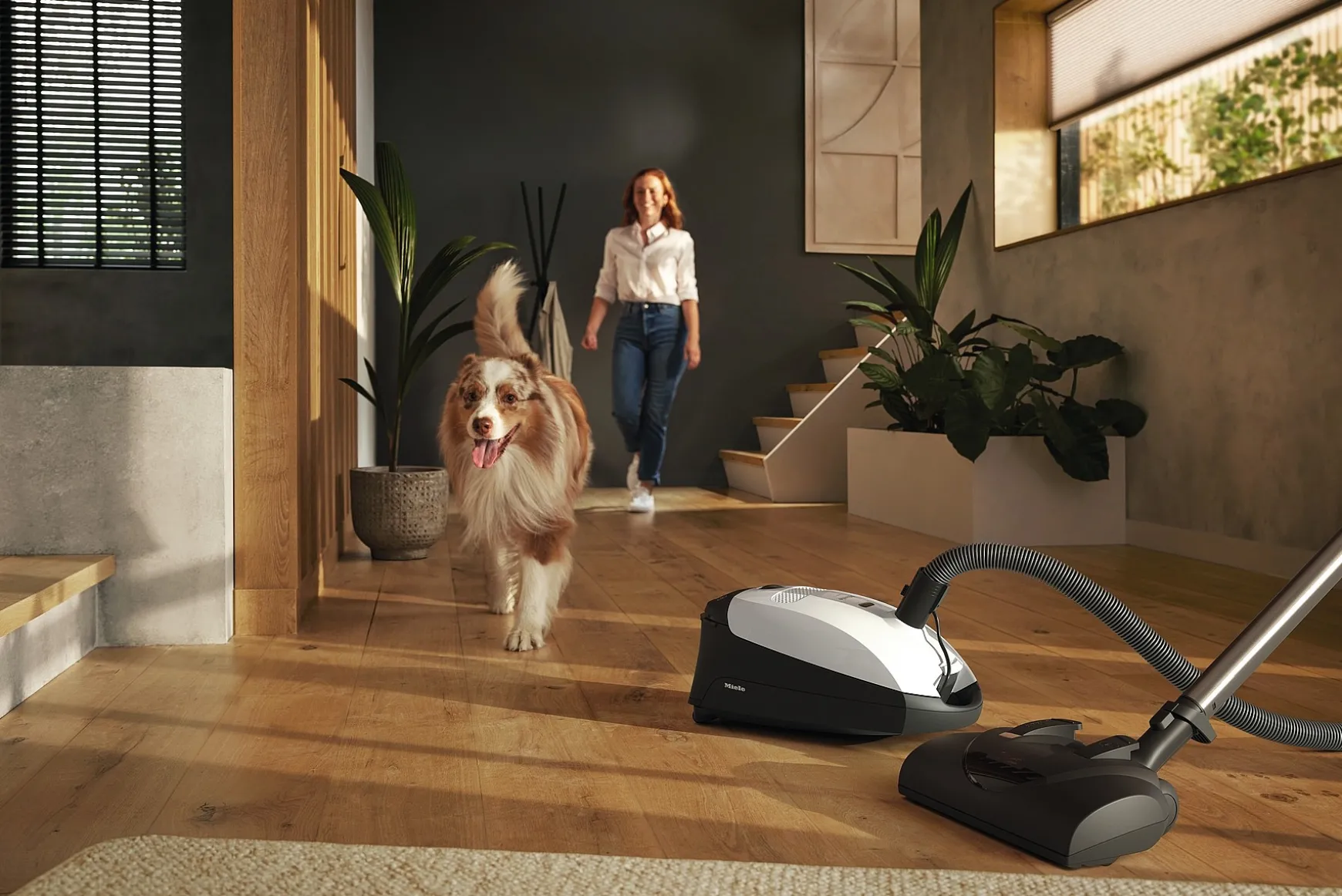 Classic C1 Cat & Dog Powerline - Sbbn0<Miele Fashion
